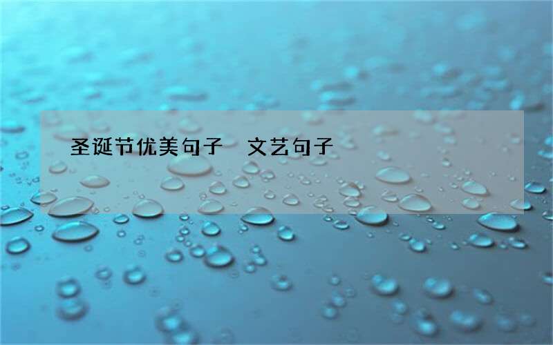 圣诞节优美句子 文艺句子